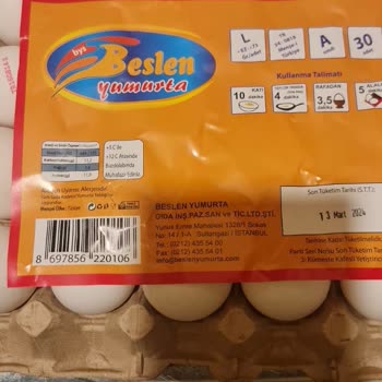 Beslen Yumurta Beden Problemi