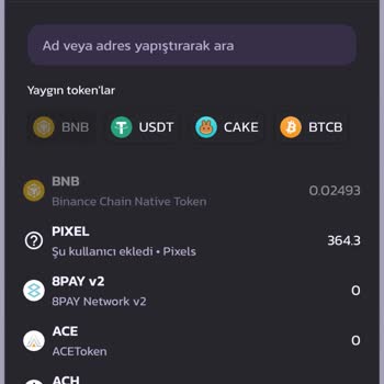 PancakeSwap Web3 Pixel Mağduruyum