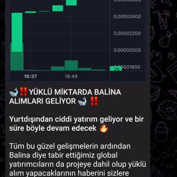 PancakeSwap Telegram Borsa Rehberi Kanalı