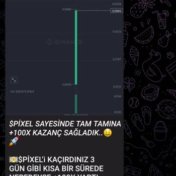 PancakeSwap Telegram Borsa Rehberi Kanalı