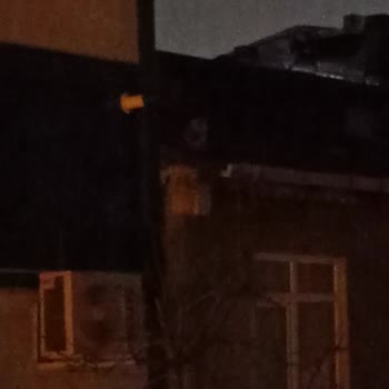 İBB - İstanbul Büyükşehir Belediyesi Çatıda Mahsur Kalan Kediye Hiçbir Müdahale Yapılmaması