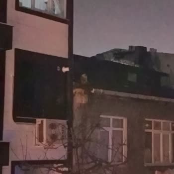 İBB - İstanbul Büyükşehir Belediyesi Çatıda Mahsur Kalan Kediye Hiçbir Müdahale Yapılmaması