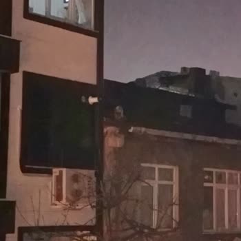 İBB - İstanbul Büyükşehir Belediyesi Çatıda Mahsur Kalan Kediye Hiçbir Müdahale Yapılmaması