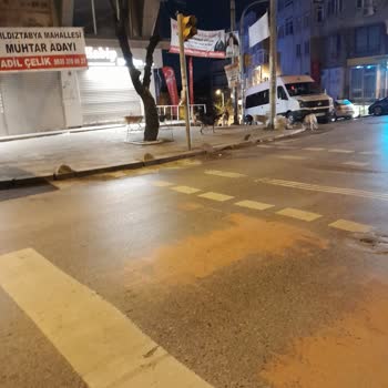 Gaziosmanpaşa Belediyesi Başıboş Sokak Hayvanları