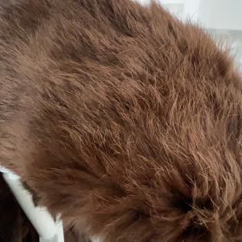 Dolaptan Aldığım Ürün Ayıplı Çıktı, Ve Hesabım Kapatıldı!