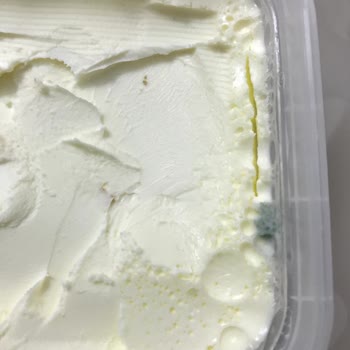 Tek Süt Marka Kaymak Küflenmesi
