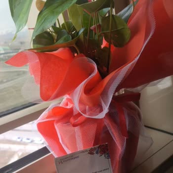 ÇiçekSepeti Satıcının Konuşma Tarzı