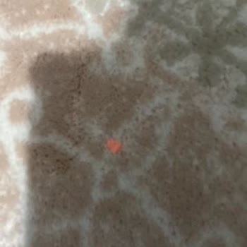 Demir Halı Yıkama Avrupa Halınızı Vermeyin