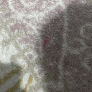 Demir Halı Yıkama Avrupa Halınızı Vermeyin