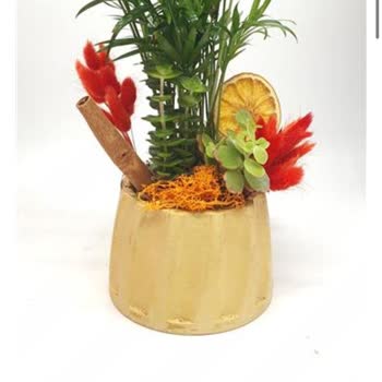 Taze Çiçek (tazecicek.com) Hayal Kırıklığı Yaratan Çiçek Siparişi