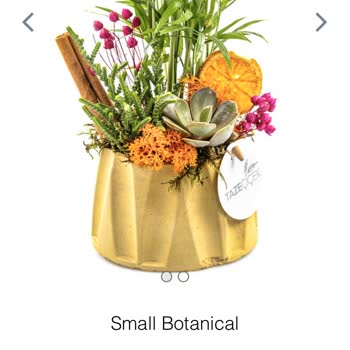 Taze Çiçek (tazecicek.com) Hayal Kırıklığı Yaratan Çiçek Siparişi