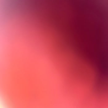 BİM Sardalya Balığı Tadı