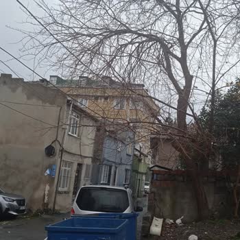 İbb - İstanbul Büyükşehir Belediyesi Ağaç Budanması