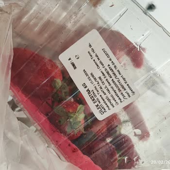 Migros Sanal Market Bir Paket Çileğin Yarışı Bozuk Geldi.