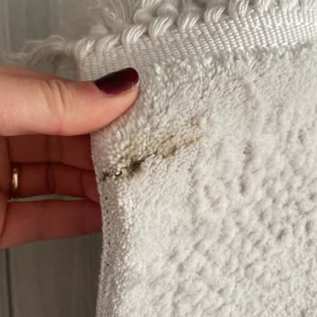 Niğde Halı Yıkama (Gölbaşı) Gölbaşı Niğde Halı Yıkama Halılarımı Mahvetti