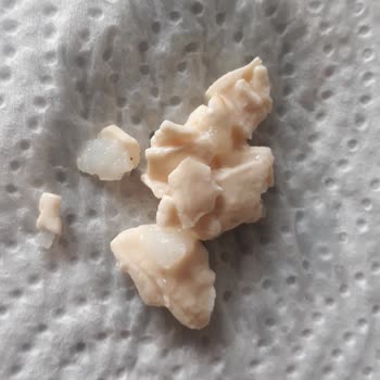 Meysu Sütten Çıkan Plastik Parçacıkları