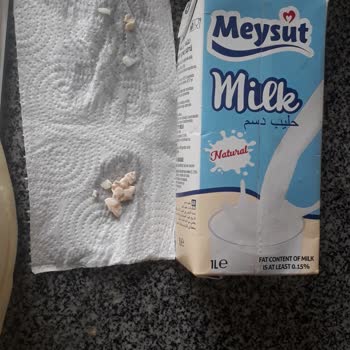 Meysu Sütten Çıkan Plastik Parçacıkları