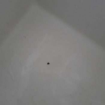 Marmorin Kitchen Marmorin'den Şık Görünüm Fakat İlgi Ve Dayanıklılık Sorunu