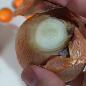 Şok Market Çürük Ve Kokmuş Ürün Teslimi