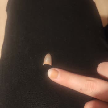 Melosh Beauty Memnun Kalmadım!