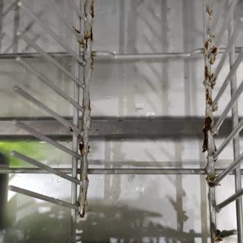 Teka Ankastre Dw605s Bulaşık Makinesi