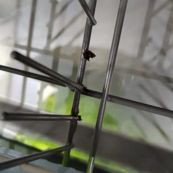 Teka Ankastre Dw605s Bulaşık Makinesi