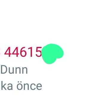 WhatsApp'TA Bilinmeyen Numaralardan Arama Gelmesi ( +92 Yabancı Ülke)