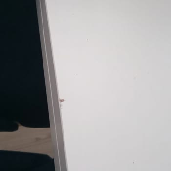 Kilim Mobilya Yı Seçmenin Pişmanlığı