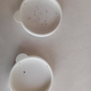 Lav Sürahi Silikon Kapak...