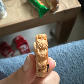 Ülker Hanımeller Mahlepli Bisküvi