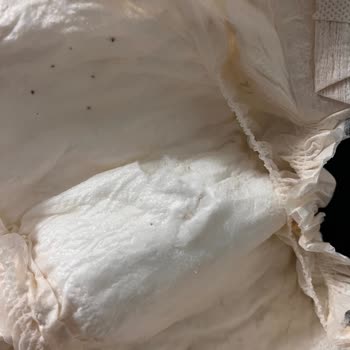 Sleepy Ecologic Dağılma Yapışma Sorunu