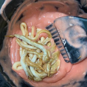 Palette Bozuk Boya Şikayeti