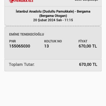 Pamukkale Turizm Tehlikeli Yolculuk: Dikkatsiz Sürücü Ve Güvensiz Otobüs