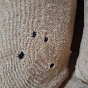 İlkim Şahane Ev Tekstil Ve Dekorasyon Evcil Hayvan Garantili Koltuk Kılıfı