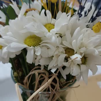 ÇiçekSepeti Solmuş Çiçek Ve Sonrası 25 TL İade Edelim Denilmesi