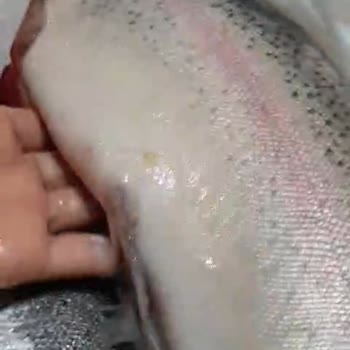 Migros Bayat Balık İade Ücreti Yapılmıyor