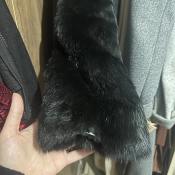 Moda Seyran Hakkında Yaşadığım Sorun