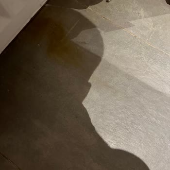 Sahil Kamp İstanbul Kalitesiz Hizmeti, Temizlik Problemi Ve Fahiş Fiyatı