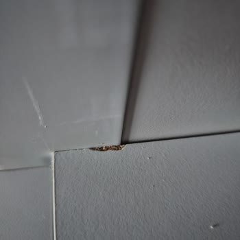 Kelebek Mobilya Mobilyada Soyuklar, İşini İyi Yapmayan Servis Elemanları, Farklı Model