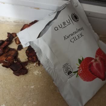 Taze Kuru Quru Kurutuluş Çilekten Kurt Çıktı.