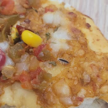 A101 Pizzanın İçerisinde Böcek Çıktı