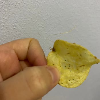 Lays Yoğurt Mevsim Çeşitli Cips