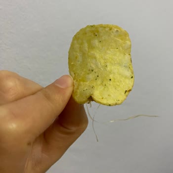 Lays Yoğurt Mevsim Çeşitli Cips
