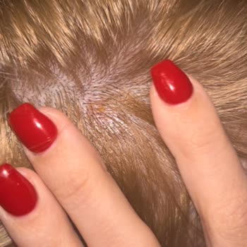 Palette 10.1 Boya Kafam Yandı