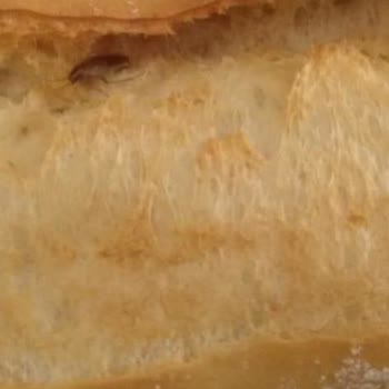 Türkiye Fırıncılar Federasyonu Kanarya Lüks Ekmek'te Hamam Böceği Çıktı