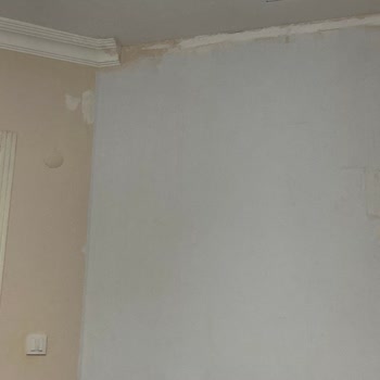 Polisan Mistik Beyaz Şikayeti