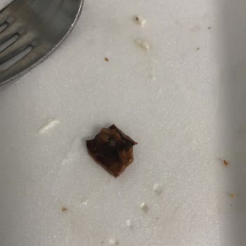 Filiz Helva ve Reçel Ceviz Kabuğu Çıktı