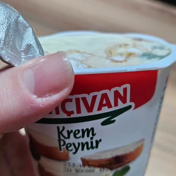 Bahçıvan Küflü Krem Peynir, SKT 05.2024