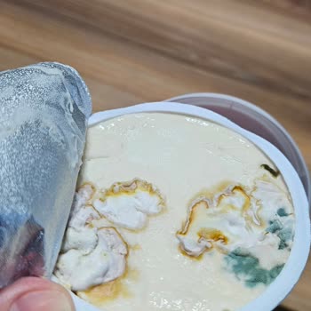 Bahçıvan Küflü Krem Peynir, SKT 05.2024