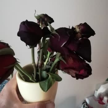 Çiçek Satamayan Çiçek Sepeti